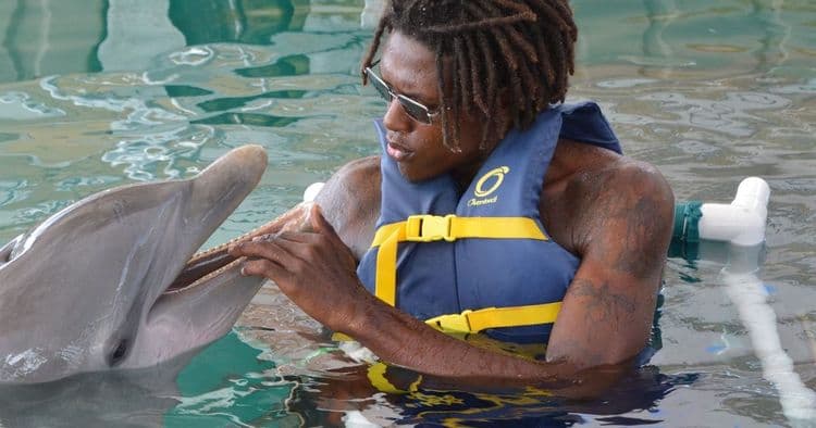 VIP Family Beach & Dolphin Connection