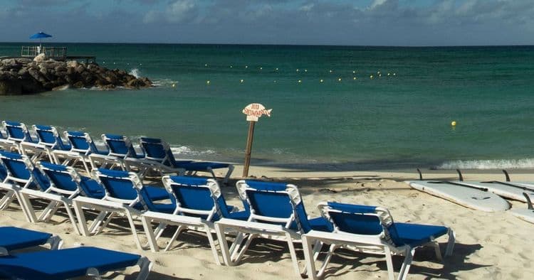 Water Noodle - Full Day Rental