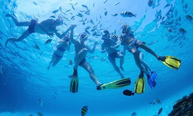 3 Reef Snorkel by Boat