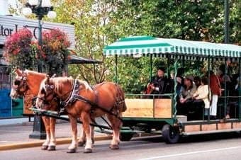 Victoria By Horse-Drawn Trolley