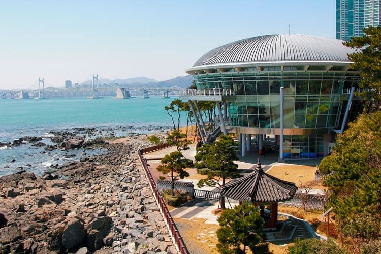 Cultural Performance & Busan Museum