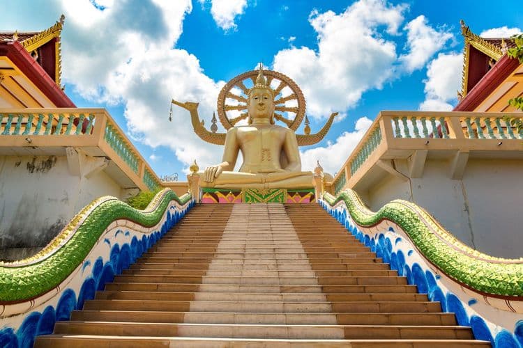 Temple Of The Big Buddha & Monkey Demonstration