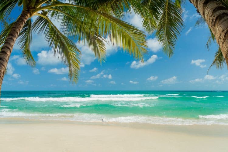 Chaweng Beach On Your Own