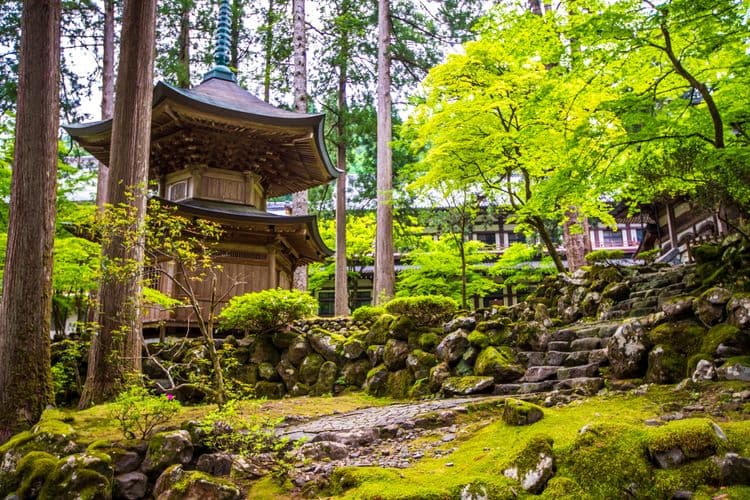 Eiheiji Buddhist Temple & Tojinbo