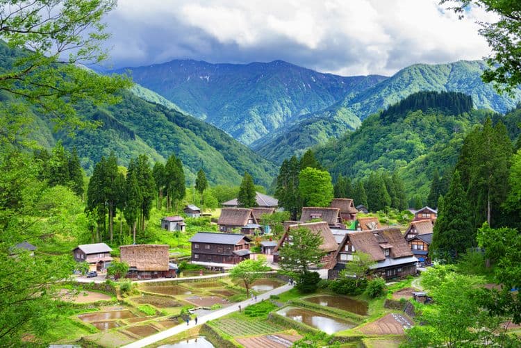 Shirakawago Village & Gokayama Village