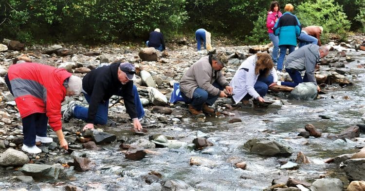 Historic Gold Mining & Panning Adventure