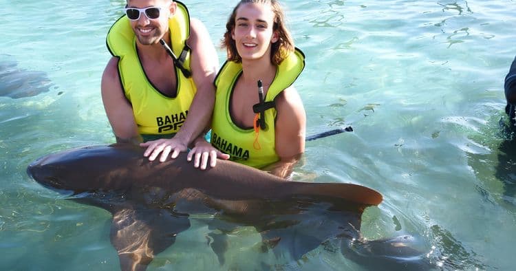 Shark Encounter & Snorkel at Blue Lagoon Island