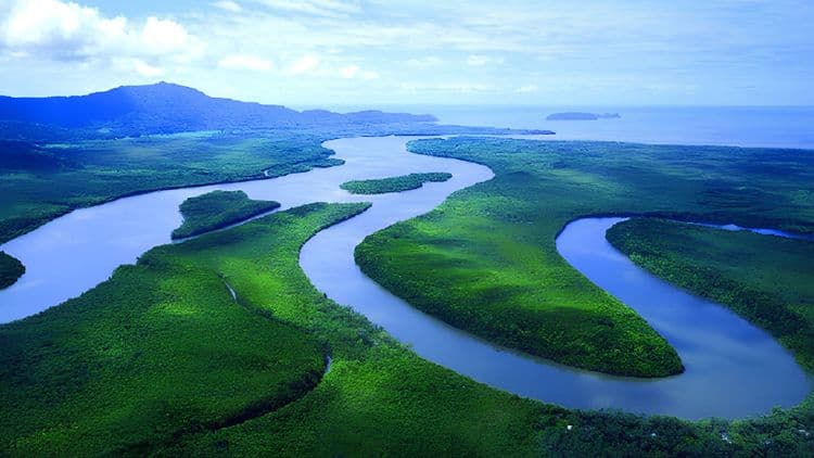 Daintree Rainforest and River Cruise
