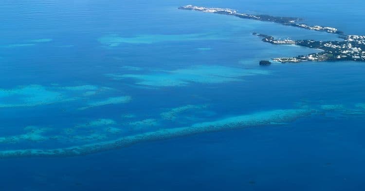 Glass Bottom Undersea Nightlife Cruise