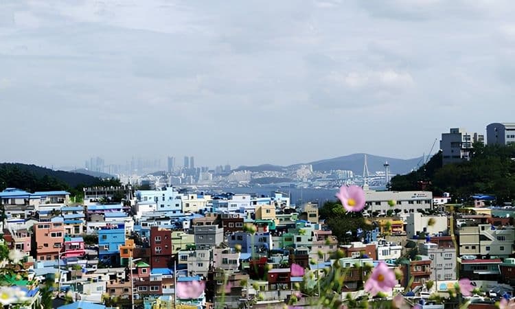 City of Colors - Temple, Village and Market