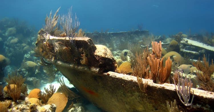 Bermuda Triangle Shipwreck Snorkel
