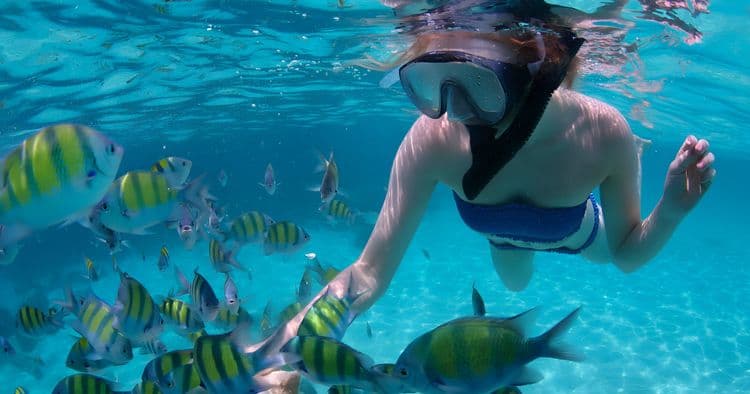 Barrier Reef Snorkel