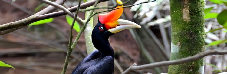 The Zoological Park & Heritage Village