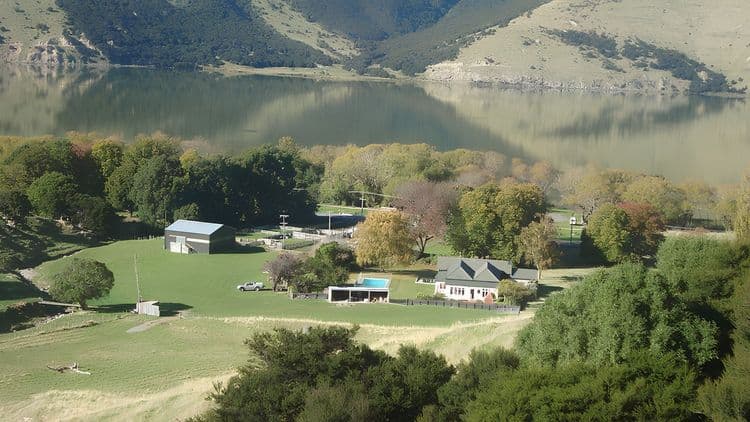 Town & Country Canterbury Sheep Farm Experience