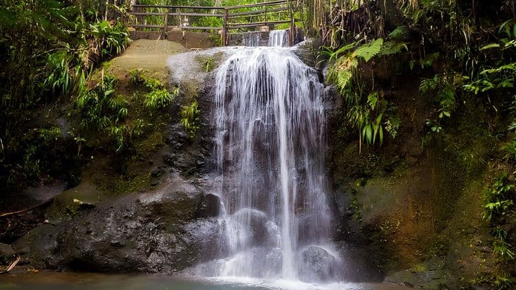 Suva Forest Park & Waterfall