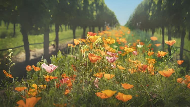 Waipara Wine Tasting