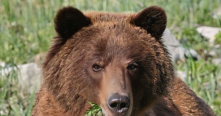 Alaska Nature & Wildlife Expedition