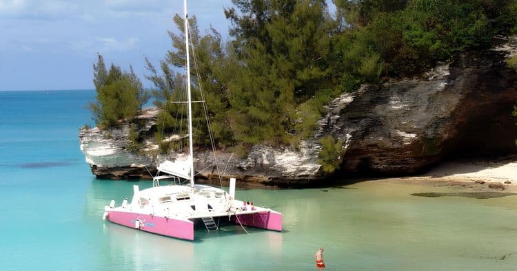 Restless Native Discovery Cruise & Snorkel