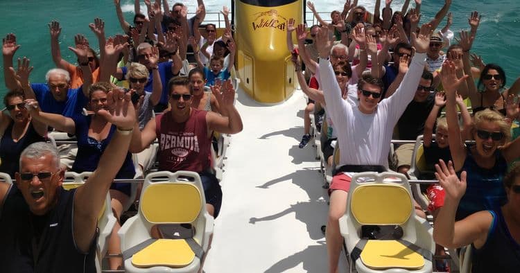 WildCat Adventure Blast