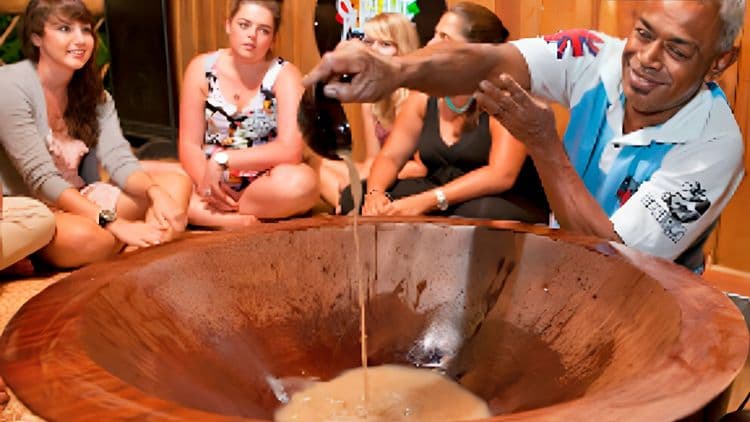 Rewa Village Tour & Kava Ceremony