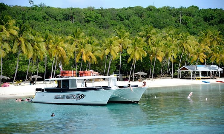 Caribbean 'FastCat' 2-Island Snorkeling Safari and Beach Getaway