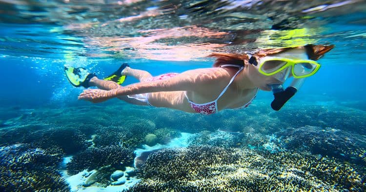 Seahorse Sail & Snorkel