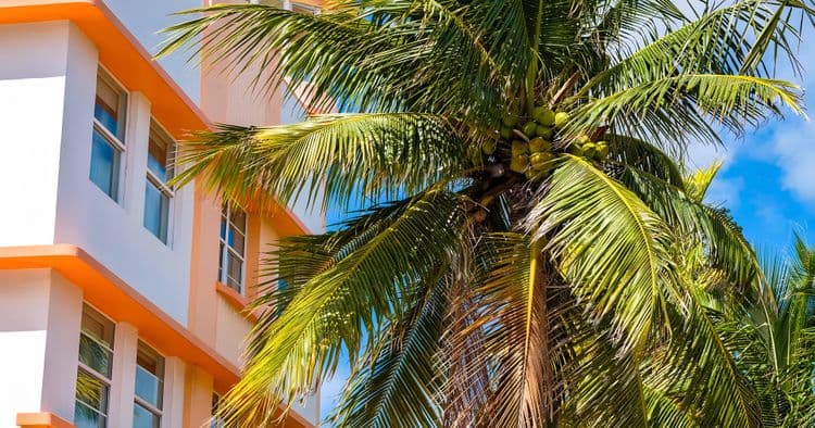 Miami Hop On Hop Off – Ends at Ft. Lauderdale Airport