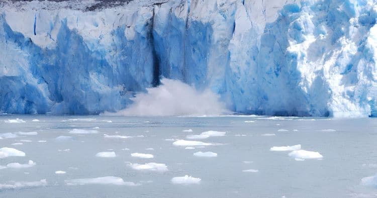Tracy Arm Fjord & Glacier Explorer