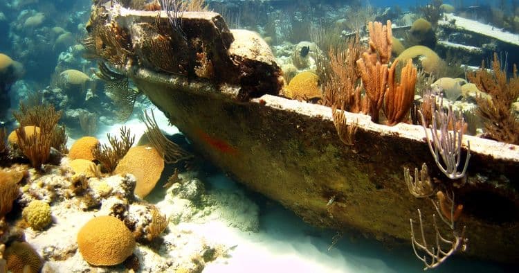 Bermuda Snorkel & Glass Bottom Boat