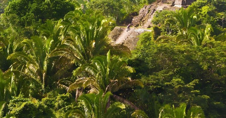Lamanai: Majestic Ceremonial Ruins & River Cruise