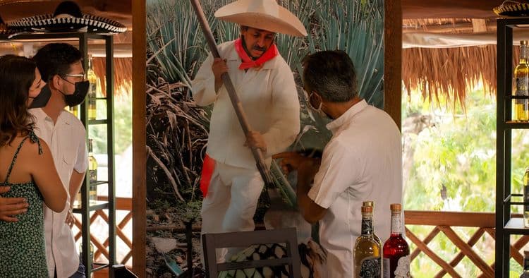 Bubble Tour: Mayan Cacao, Tequila & Beach Break