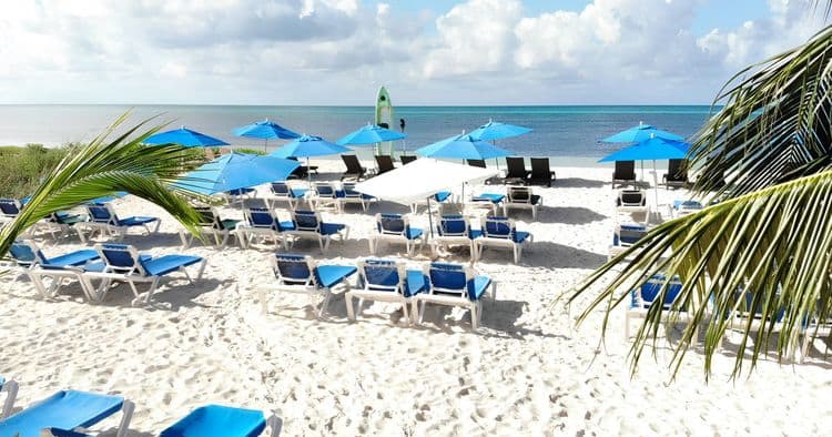 Bubble Tour: Beach Getaway at Punta Sur Park