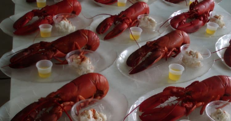 Lobster Lunch & Peggy's Cove