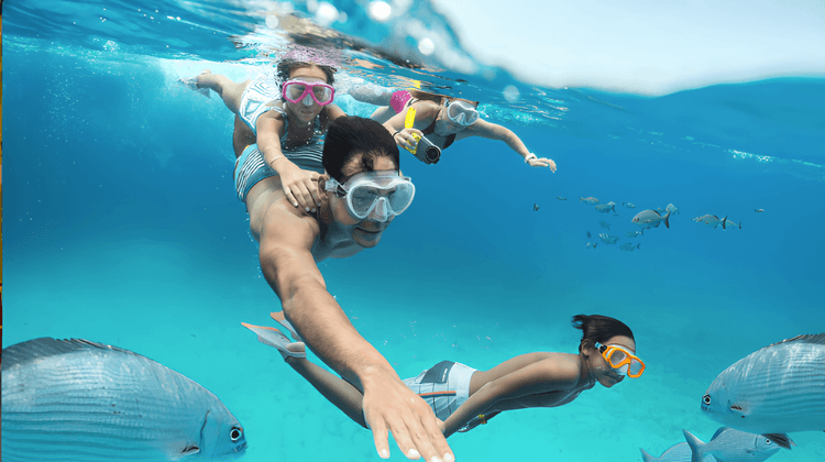 Certified Scuba Dive With Equipment