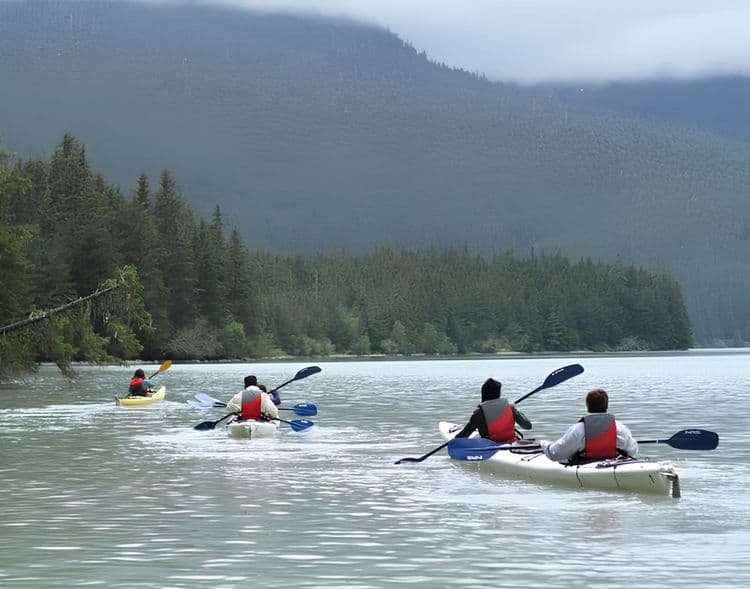 Wilderness Kayaking Experience