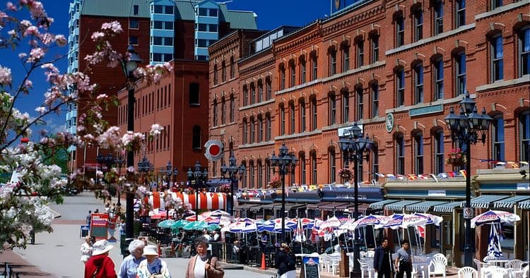Top 10 Best of Saint John