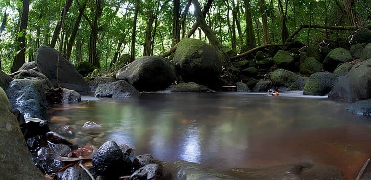 River & Motu by Outrigger Canoe