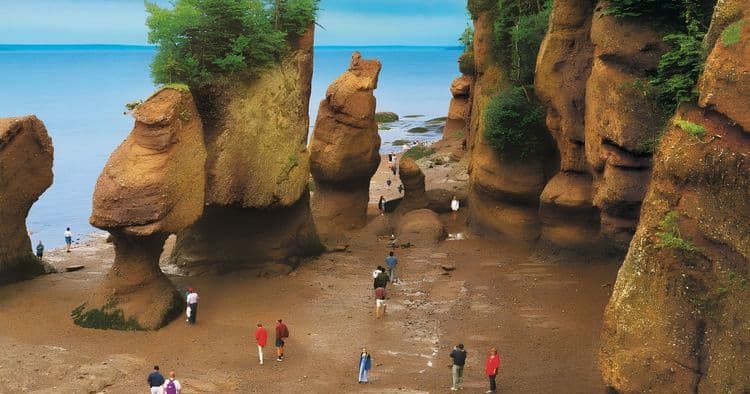 Hopewell Rocks Tidal Discovery