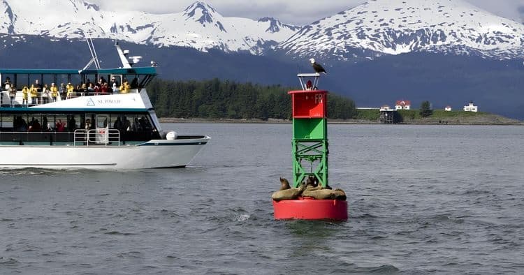 Best of Juneau:Whale Watching, Glacier& Orca Point