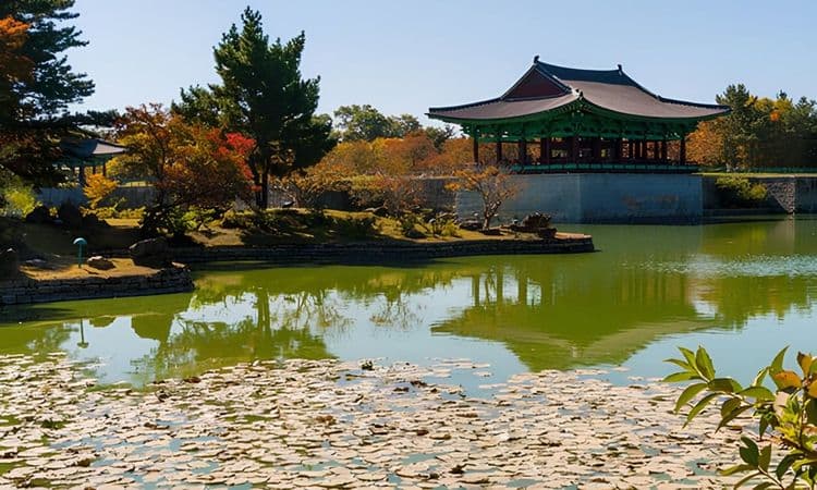 Ancient Gyeongju: Tombs, Temples, and the National Museum
