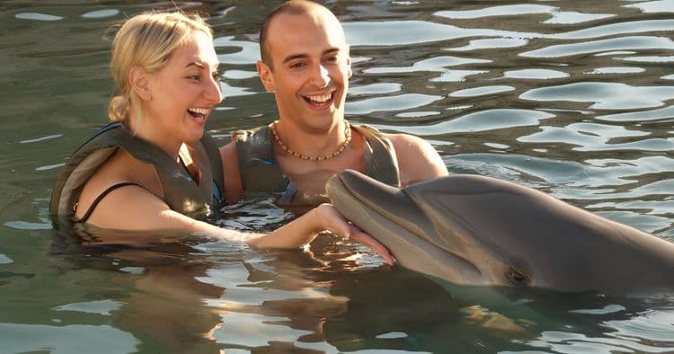 Dolphin Experience