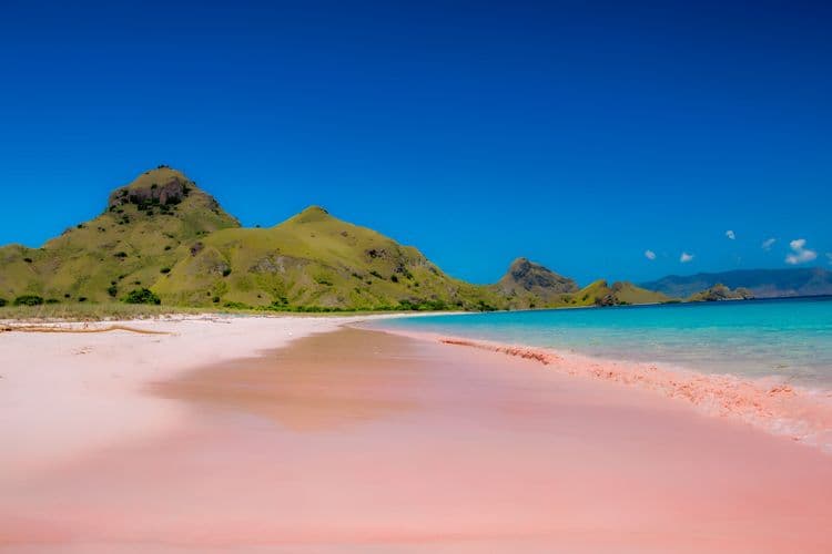 Komodo Dragon Adventure With Pink Beach