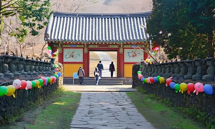 Nature and Jeju - Gotjawal and Tea Museum