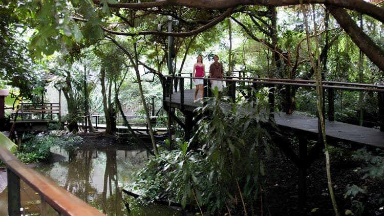 Wildlife Habitat and Port Douglas