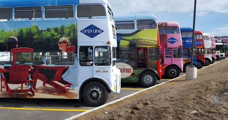 The Big Pink Bus - Hop On Hop Off