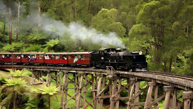 Countryside, Birds & Vintage Train