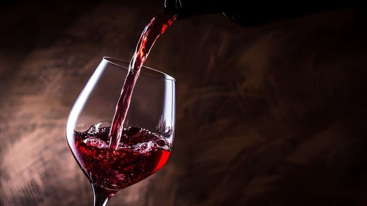 Wine Tasting, Wildlife and River Cruise