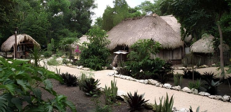 Mayan Reality Tour