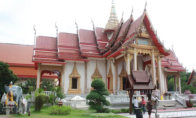Panoramic Tour