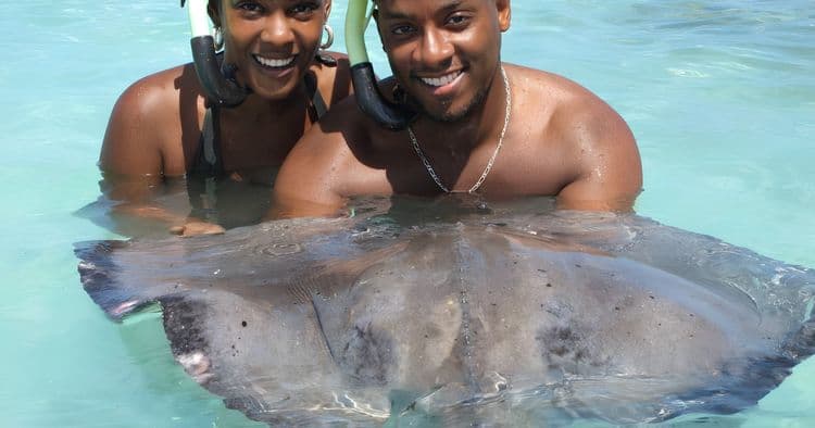 Stingray Sensation